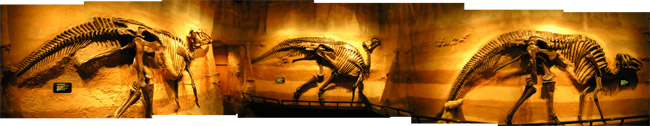 Hadrosaur Room