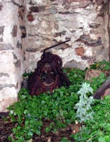 Old Ivy-Covered Boat Winch