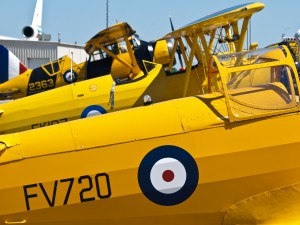 Trio of Yellow Planes