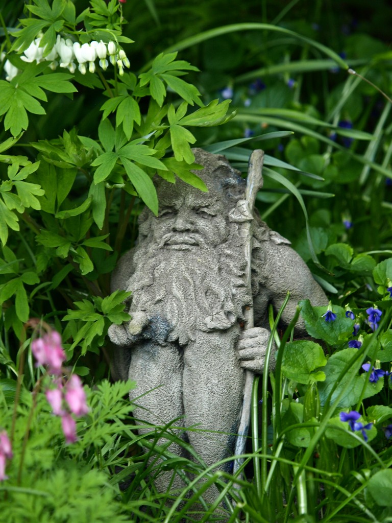 Garden Gnome Surrounded by Spring Flowers