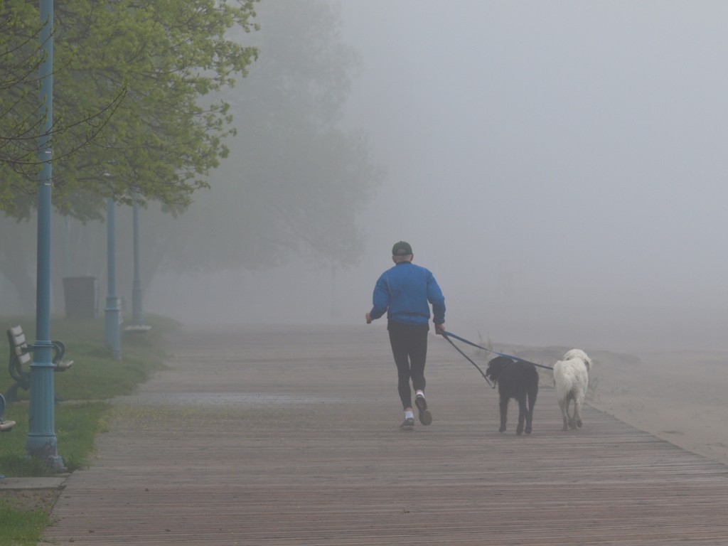 Jogger with Dogs by Foggy Boardwalk