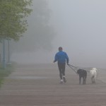 Jogger with Dogs by Foggy Boardwalk