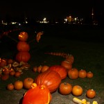 Sorauren Park Pumpkin Parade 5 (Crocodile)