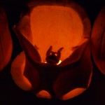 East Lynn Park Pumpkin Parade: Carved Bat