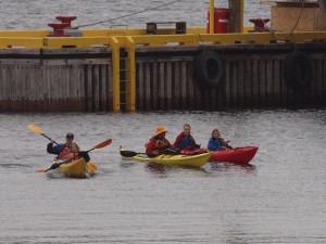 Coming Back from Sea Kayaking in Bay Bulls, Newfoundland