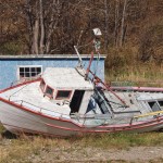 Beached Boat in Quidi Vidi