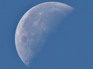 Half-moon in the Morning