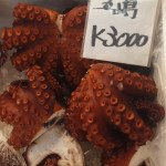 Red Octopus at the Tokyo Fish Market