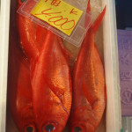 Three Red Snapper on Offer at the Tokyo Fish Market #1