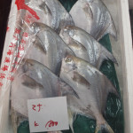 Tray of Fish at the Tokyo Fish Market