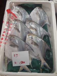 Tray of Fish at the Tokyo Fish Market