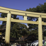 Inner Torii Gate at Meiji Shrine