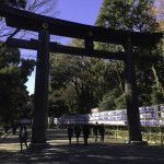 Torii Gate within the Meiji Shrine Grounds