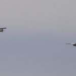 Air Cadets Glider Demo #3
