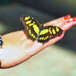 Dhan with Butterfly on Her Hand